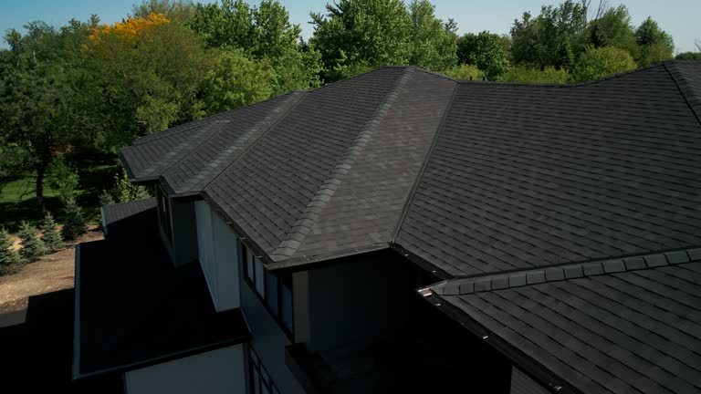 Best Roof Insulation Installation  in Alliance, NE