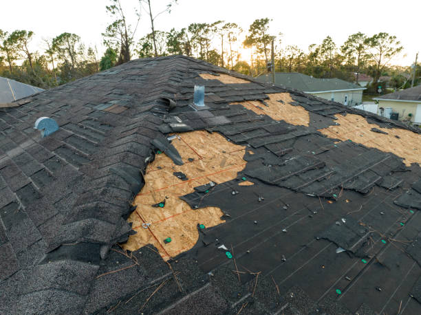 Best Gutter Installation and Repair  in Alliance, NE