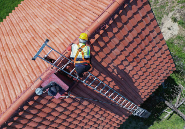 Best Storm Damage Roof Repair  in Alliance, NE