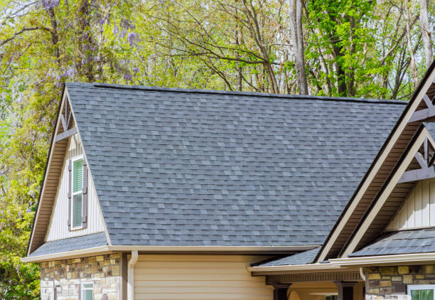 Best Skylight Installation and Repair  in Alliance, NE